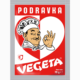 PODRAVKA VEGETA FINE BLEND 70g
